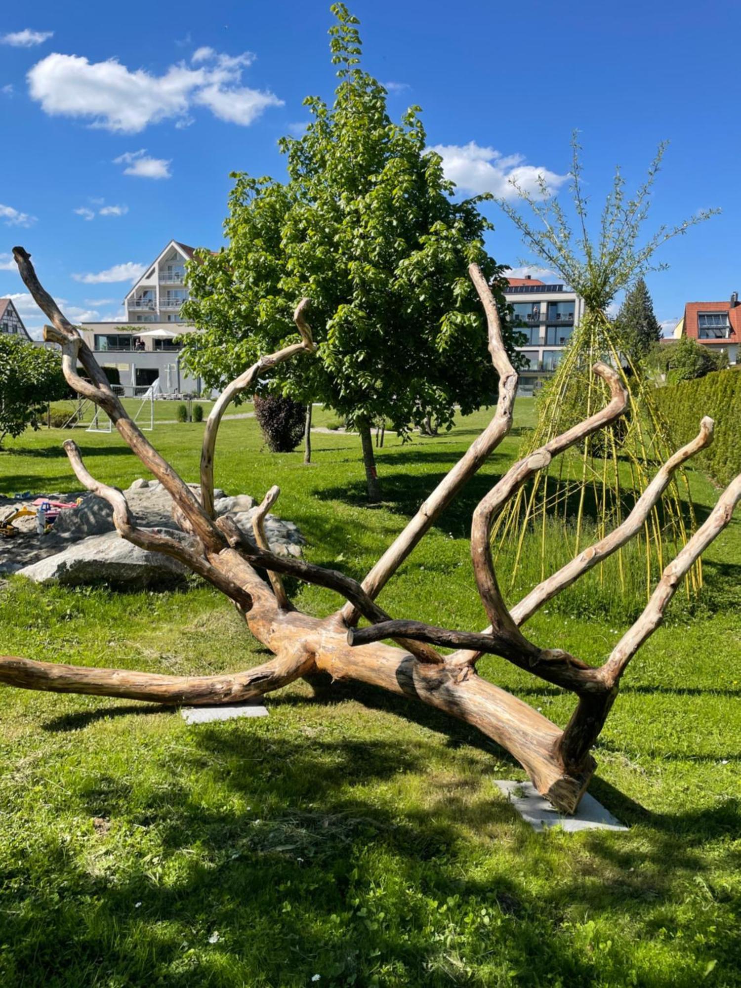 Hotel Traube Am See FDH Extérieur photo